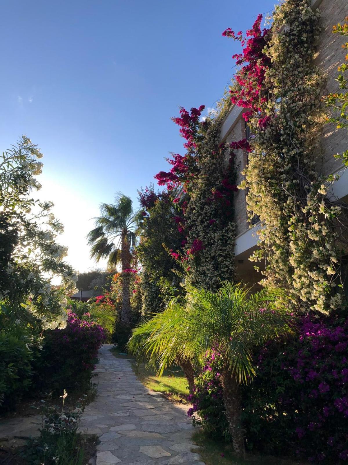 Spektr Boutique Hotel Yalıkavak エクステリア 写真